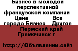 Бизнес в молодой перспективной французской компании › Цена ­ 30 000 - Все города Бизнес » Другое   . Пермский край,Гремячинск г.